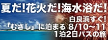 花火・海水浴